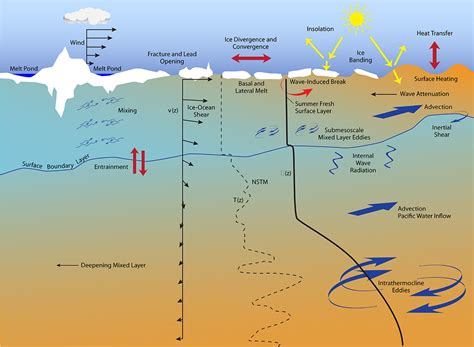 Stratification on une hirondelle de l'été sur les vagues du silence